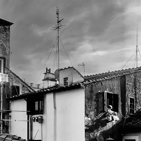 The Dreamers House * Roma