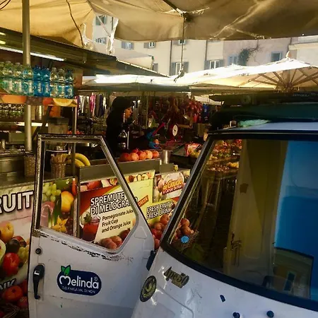 Apartment The Dreamers House *