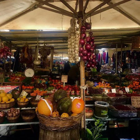 The Dreamers House * Rom